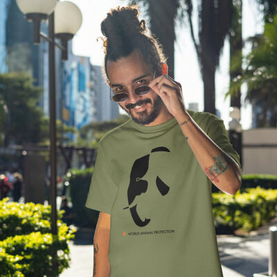 All Animals Thumbnail