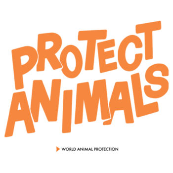 Mouse pad: Protect Animals Design