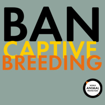Women's Crop Tee: Ban Captive Breeding Design