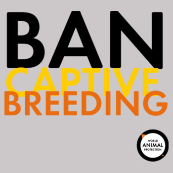 Men's Hoodie: Ban Captive Breeding Design