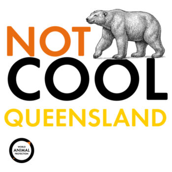 Women's Crop Tee: Not Cool Queensland - Polar Bear Design