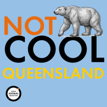 Kids Tee: Not Cool Queensland - Polar Bear Design