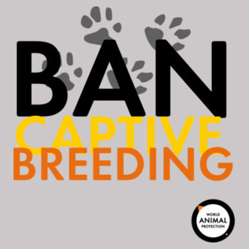 Women's Hoodie: Ban Captive Breeding - Paws Design