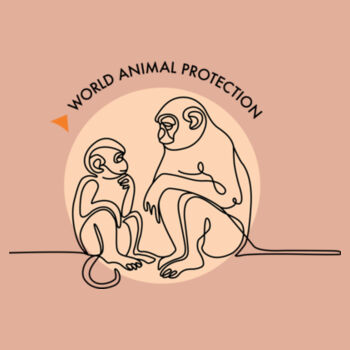 Women's Tee: Monkeys Design
