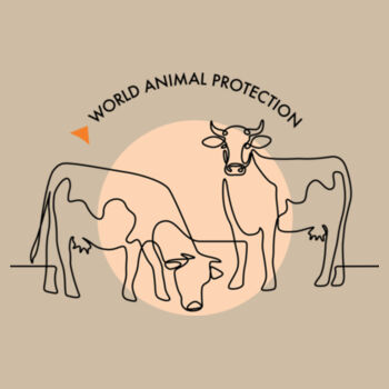 Kids Tee: Cows Design