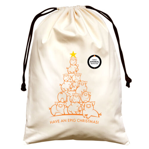 Large Natural Canvas Santa Sack: Have an Epig Christmas! Thumbnail