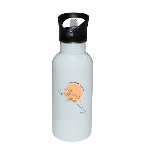 Dolphins Stainless Bottle with Straw Top Thumbnail