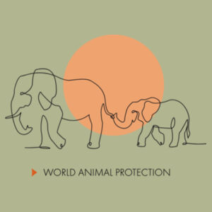 Men's t-shirt: Elephants belong in the wild Design