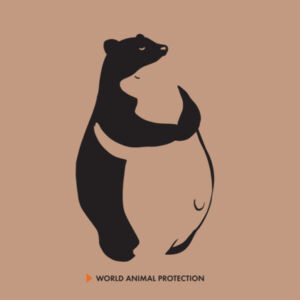 Surf cap: Bear hug Design
